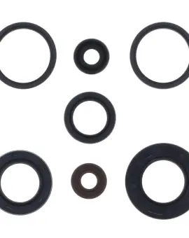 Serie Paraolio Motor