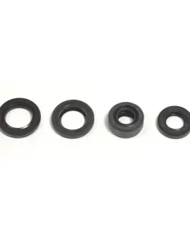 Serie Paraolio Motor