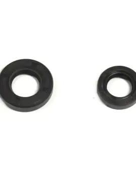 Serie Paraolio Motor