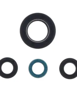 Serie Paraolio Motor