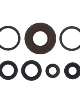 Serie Paraolio Motor