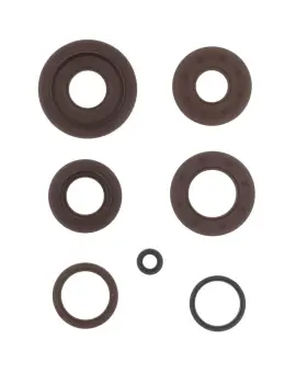Serie Paraolio Motor