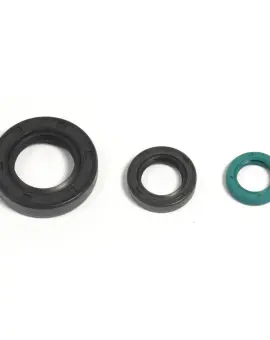 Serie Paraolio Motor