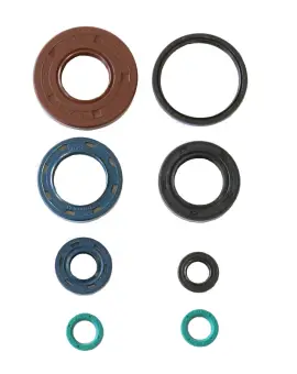 Serie Paraolio Motor