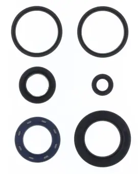 Serie Paraolio Motor