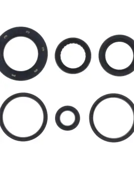 Serie Paraolio Motor