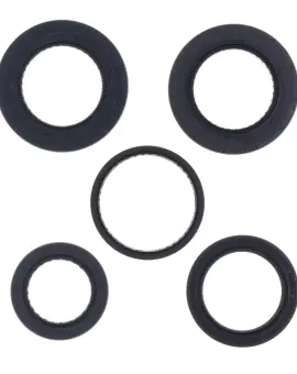 Serie Paraolio Motor