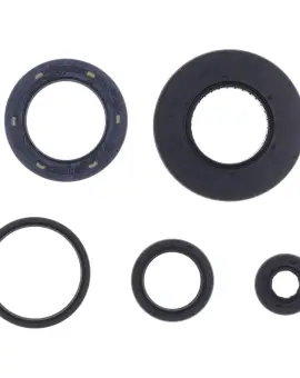 Serie Paraolio Motor