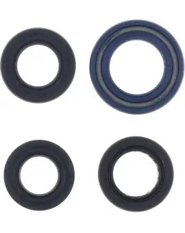 Serie Paraolio Motor