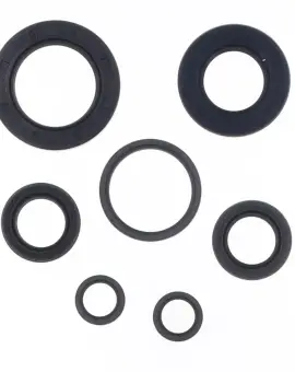 Serie Paraolio Motor