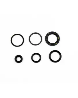 Serie Paraolio Motor