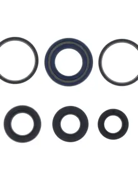 Serie Paraolio Motor