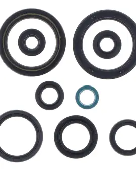 Serie Paraolio Motor