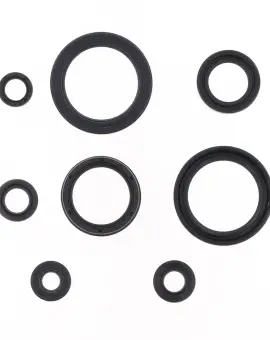 Serie Paraolio Motor