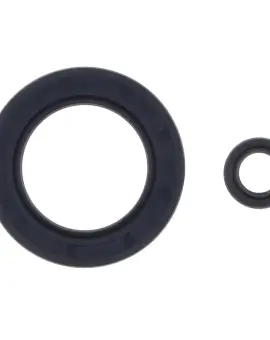 Serie Paraolio Motor