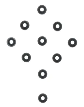 Serie Paraolio Guida