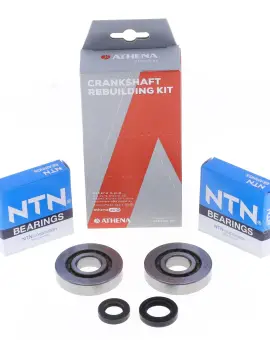 Kit Revisione Albero