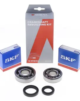 Kit Revisione Albero