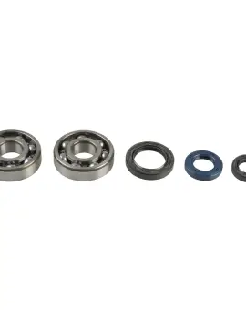 Kit Revisione Albero