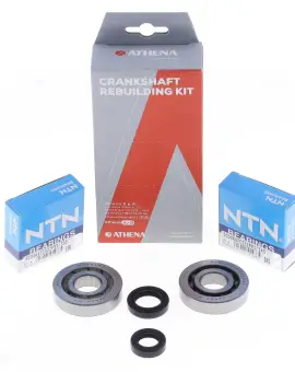 Kit Revisione Albero