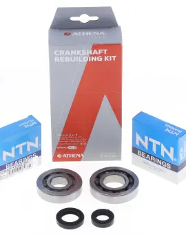Kit Revisione Albero