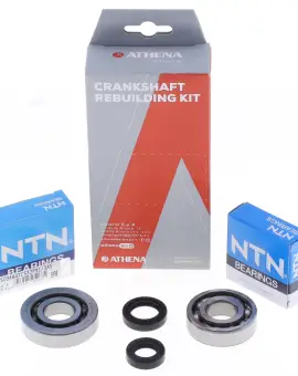 Kit Revisione Albero
