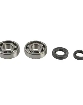 Kit Revisione Albero