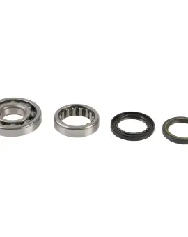 Kit Revisione Albero