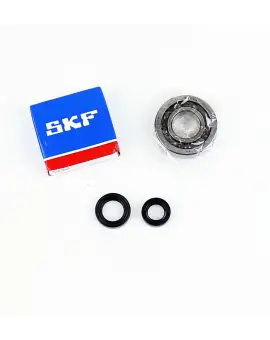 Kit Revisione Albero