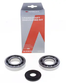 Kit Revisione Albero