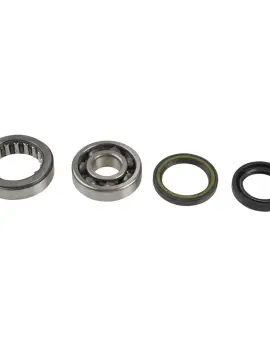 Kit Revisione Albero