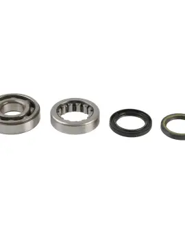 Kit Revisione Albero