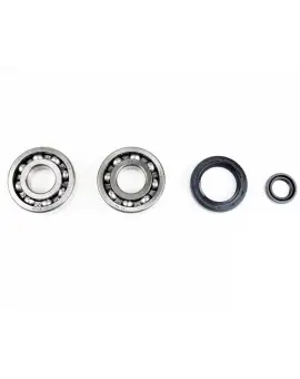 Kit Revisione Albero