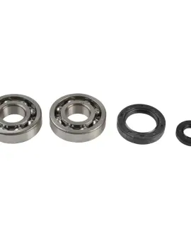 Kit Revisione Albero
