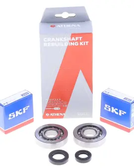 Kit Revisione Albero