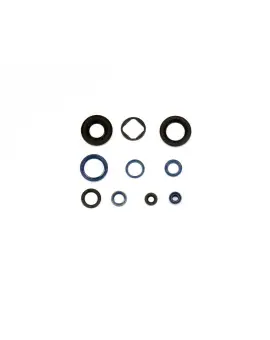 Serie Paraolio Motor