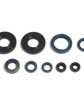 Serie Paraolio Motor