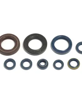 Serie Paraolio Motor