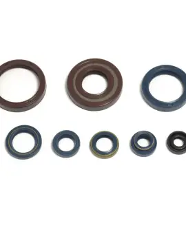 Serie Paraolio Motor