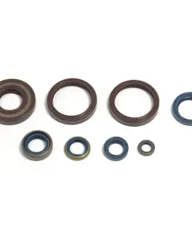 Serie Paraolio Motor