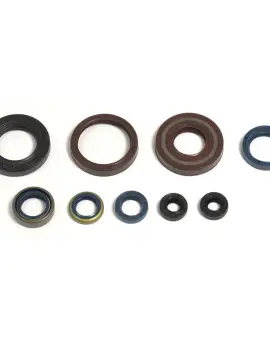 Serie Paraolio Motor