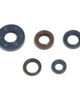 Serie Paraolio Motor