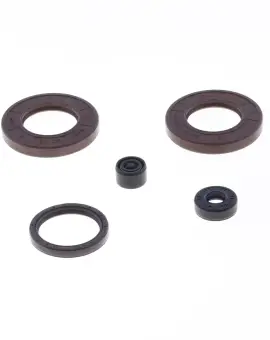Serie Paraolio Motor