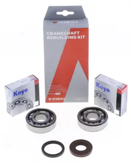 Kit Revisione Albero