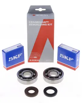 Kit Revisione Albero