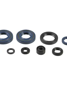 Serie Paraolio Motor
