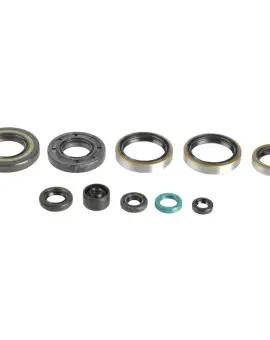 Serie Paraolio Motor