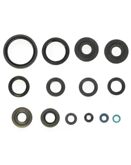 Serie Paraolio Motor