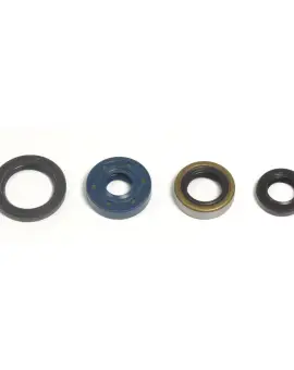 Serie Paraolio Motor