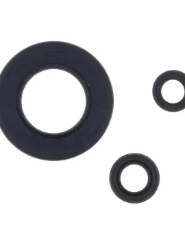 Serie Paraolio Motor